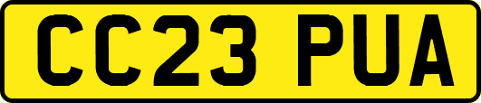 CC23PUA