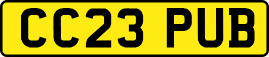 CC23PUB