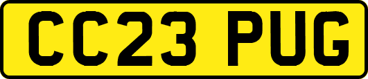 CC23PUG