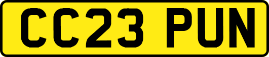 CC23PUN