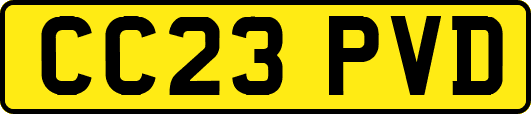 CC23PVD
