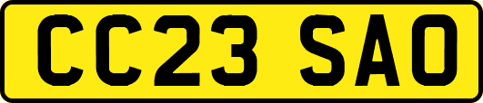 CC23SAO