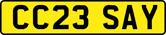 CC23SAY
