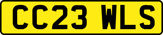 CC23WLS