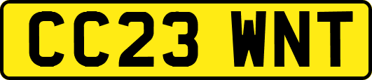 CC23WNT