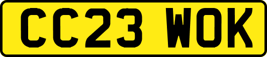 CC23WOK