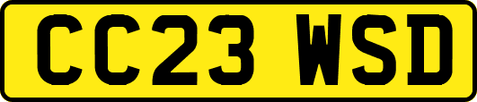 CC23WSD