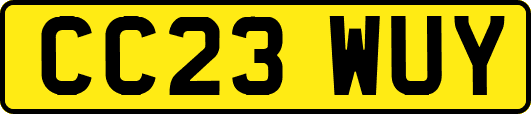 CC23WUY