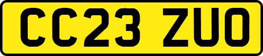CC23ZUO