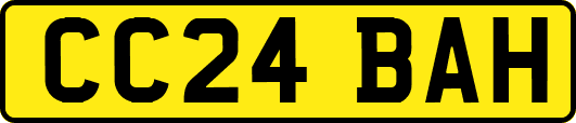 CC24BAH