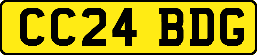 CC24BDG