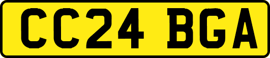 CC24BGA