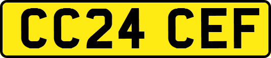 CC24CEF