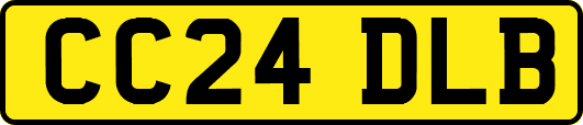 CC24DLB