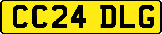 CC24DLG
