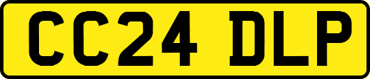 CC24DLP