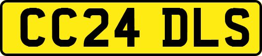 CC24DLS