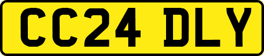 CC24DLY