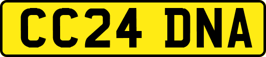 CC24DNA