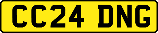 CC24DNG