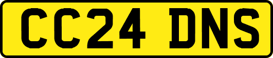 CC24DNS