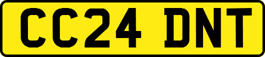 CC24DNT