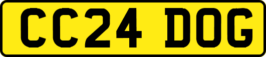 CC24DOG