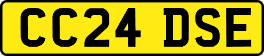 CC24DSE