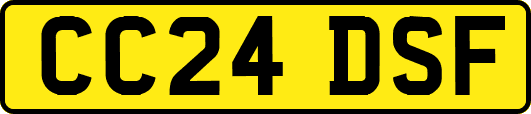 CC24DSF