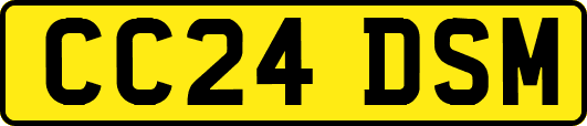 CC24DSM