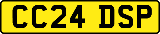 CC24DSP
