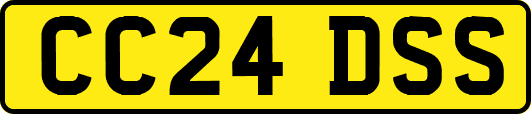 CC24DSS