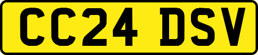 CC24DSV