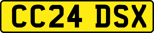 CC24DSX