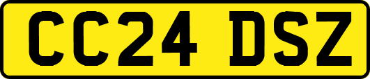 CC24DSZ