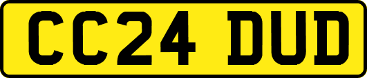 CC24DUD