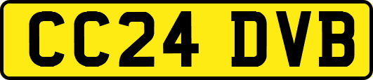 CC24DVB