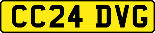 CC24DVG