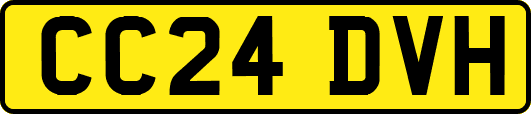CC24DVH