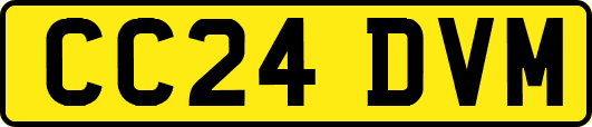 CC24DVM