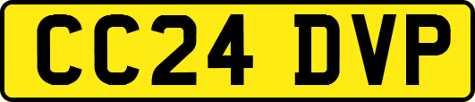 CC24DVP