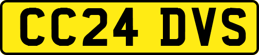 CC24DVS
