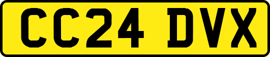 CC24DVX
