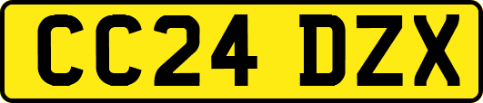 CC24DZX