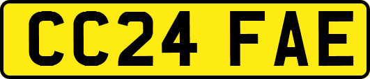 CC24FAE
