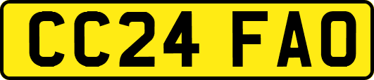 CC24FAO