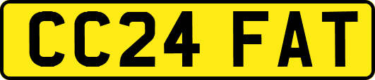 CC24FAT
