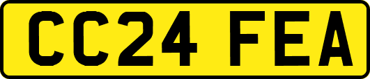 CC24FEA