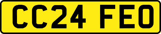 CC24FEO