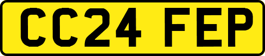 CC24FEP